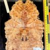 Maple Burl Guitar & Bass Bookmatched Top Set