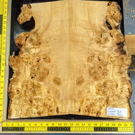 Chestnut Burl Book-matched Set