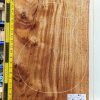 Prime Grade Mahogany One Piece Body Blank