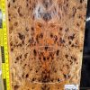 Elm Burl Bookmatched Guitar & Bass Top