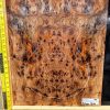 Elm Burl Bookmatched Guitar & Bass Top