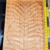 Quilted Beech Bookmatched Guitar Top Set