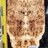 5A Poplar Burl Electric Guitar Bookmatched Top Set