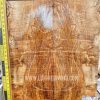 5A Ash Spalted Ripple Set 094 - Huge Explorer Sized Set!
