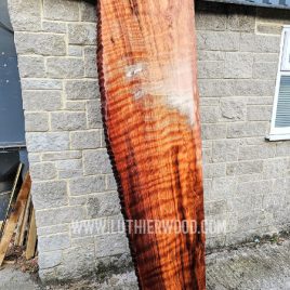 Quilted Ancient Redwood Full Slab - Huge!