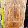 Ripple Spalted Ash Guitar Top Bookmatched Set