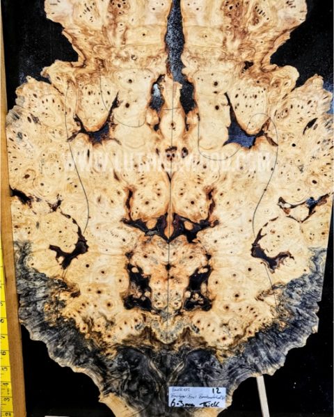 Buckeye Burl bookmatched guitar top set