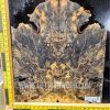 Buckeye Burl Guitar Top Set