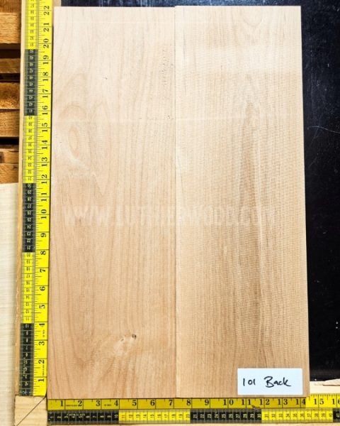 American Red Alder 2 Piece Body Blank 101
