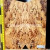 Spalted Elm Burl Bookmatched Guitar & Bass Top Set