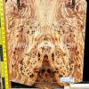 Spalted Elm Burl Bookmatched Guitar & Bass Top Set