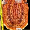 Australian Red Box Burl Guitar & Bass Bookmatched Top Set