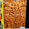Thuya Burl Bookmatched Guitar & Bass Top Set