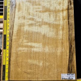 Korina / White Limba Guitar & Bass Body Blank Set