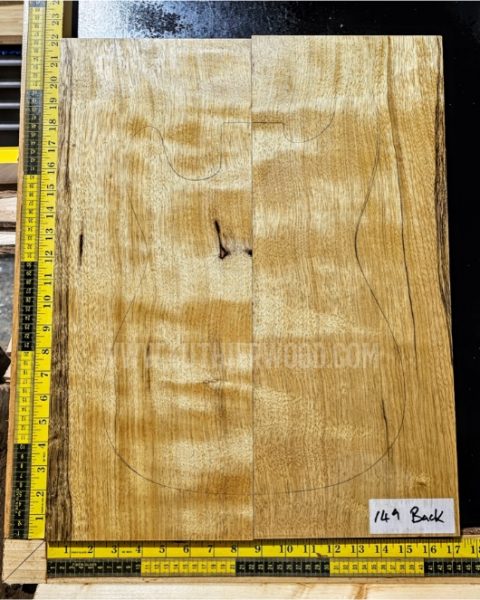 Korina / White Limba Guitar & Bass Body Blank Set