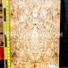 5A Ash Burl Bookmatched Guitar Top Set