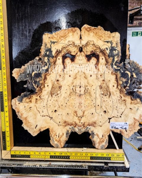 Buckeye Burl bookmatched guitar top set