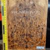 Elm Burl Guitar & Bass bookmatched top set