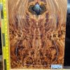 Elm Burl Guitar & Bass bookmatched top set