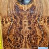 Elm Burl Guitar & Bass bookmatched top set