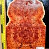 Australian Western Redbox Burl Bookmatched Guitar Top Set - Woods for Luthiers