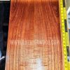 Asian Cedar bookmatched guitar top set
