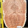 Australian Western Redbox Burl Bookmatched Guitar Top Set - Woods for Luthiers