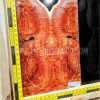 Australian Western Redbox Burl Bookmatched Guitar Top Set - Woods for Luthiers