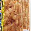 Prime Grade Mahogany One Piece Body Blank