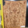 English Elm Burl Book-matched Set