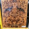 English Elm Burl Book-matched Set