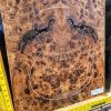 English Elm Burl Book-matched Set