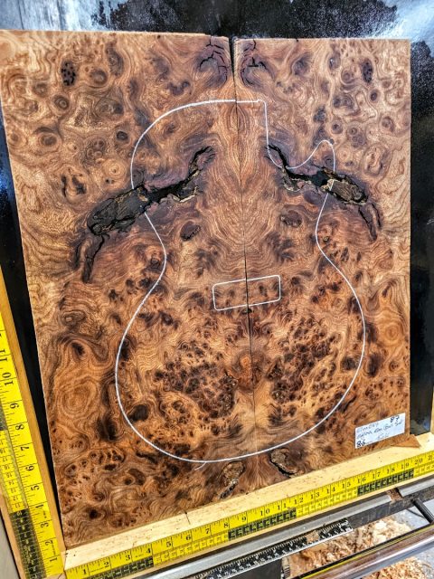 English Elm Burl Book-matched Set