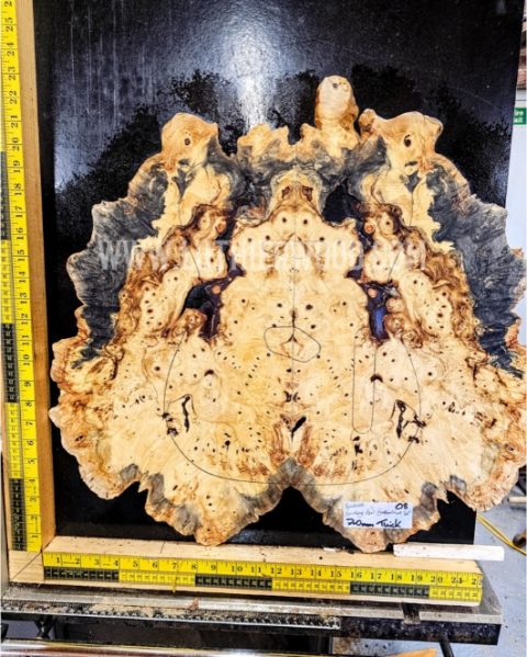 Buckeye Burl bookmatched guitar top set