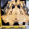 Buckeye Burl bookmatched guitar top set
