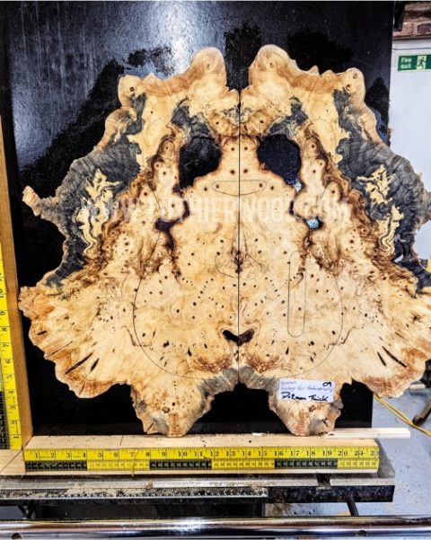 Buckeye Burl bookmatched guitar top set
