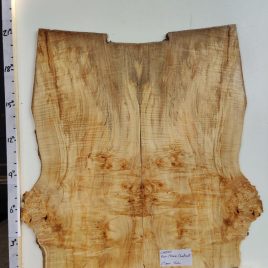 Chestnut Burl