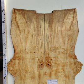 Chestnut Burl