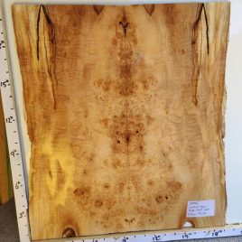 Chestnut Burl