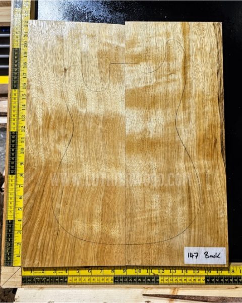 Korina / White Limba Guitar & Bass Body Blank Set