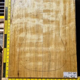 Korina / White Limba Guitar & Bass Body Blank Set