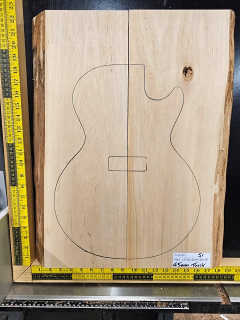 Alder two piece guitar body blank set