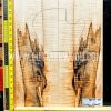 Spalted Flame Maple Bookmatched Guitar Top Set