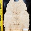 Maple Burl Guitar & Bass Bookmatched Top Set