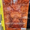 Australian Western Red Box Burl No.2 SUPER RARE