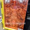 Australian Western Red Box Burl No.3 SUPER RARE