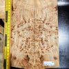 Elm Burl Bookmatched Guitar Top Set