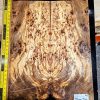 Spalted Elm Burl Bookmatched Guitar Top Set