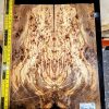 Spalted Elm Burl Bookmatched Guitar Top Set