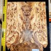 Spalted Elm Burl Bookmatched Guitar Top Set
